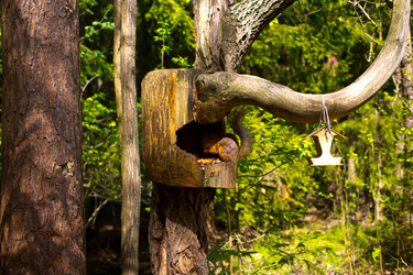 Similar image 21816570