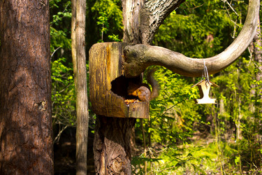 Similar image 21816571