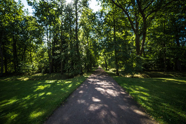 Similar image 21817277