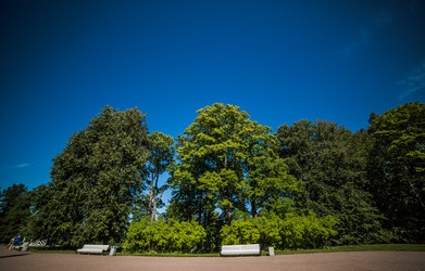 Similar image 21817278