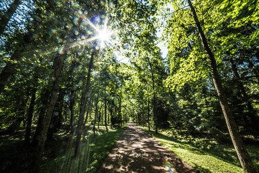 Similar image 21817283