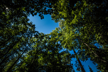 Similar image 21817284