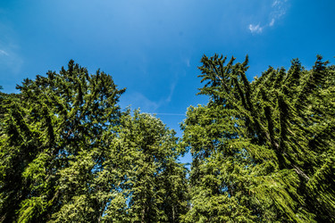 Similar image 21817288