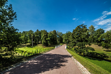 Similar image 21817293