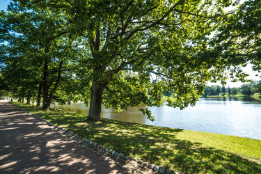 Similar image 21817296