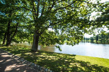 Similar image 21817442