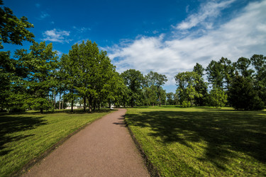 Similar image 21817445