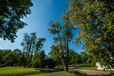 Similar image 21817447