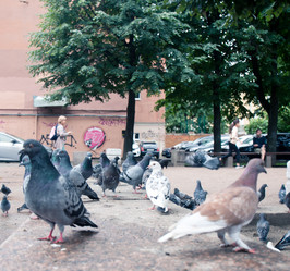 Similar image 21816573