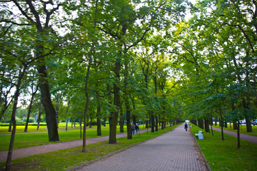 Similar image 21816574