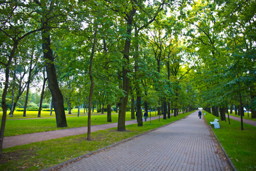 Similar image 21816575