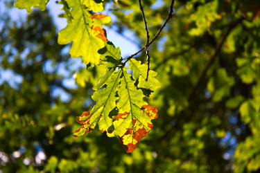 Similar image 21816950