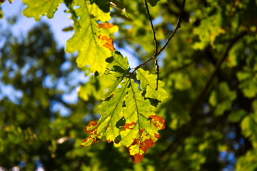 Similar image 21816951