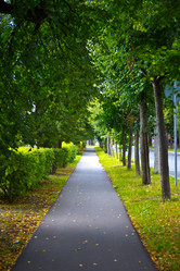 Similar image 21816952