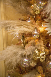 Similar image 21817298