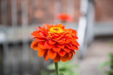 Similar image 21817299