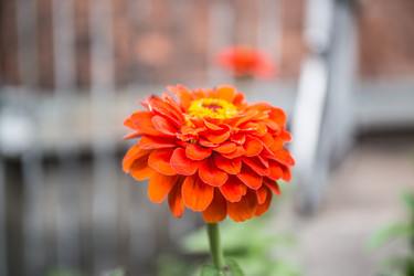 Similar image 21817300