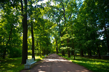 Similar image 21817301