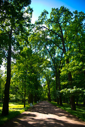 Similar image 21817302