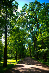 Similar image 21817303