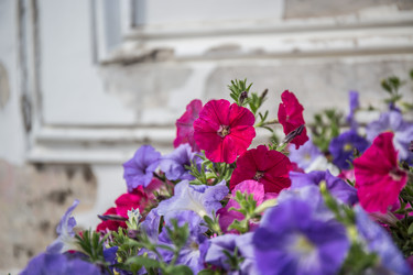 Similar image 21817304