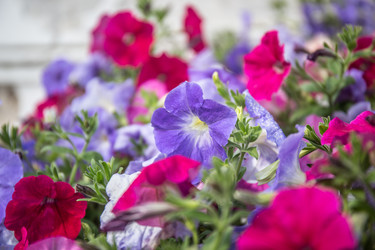 Similar image 21817305