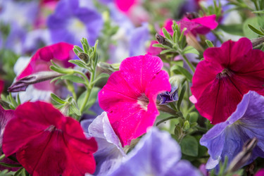 Similar image 21817306