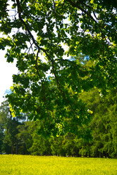 Similar image 21817307