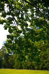 Similar image 21817308