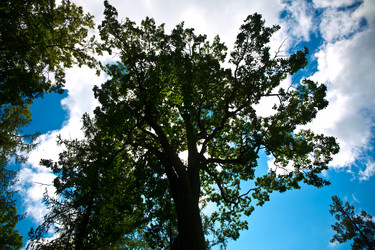 Similar image 21817309