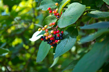 Similar image 21817310