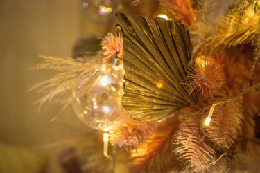 Similar image 21817448