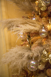 Similar image 21817449