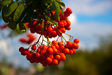 Similar image 21817313