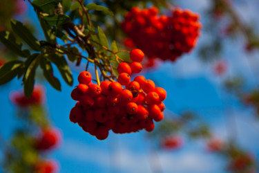 Similar image 21817314