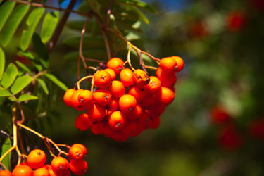 Similar image 21817318