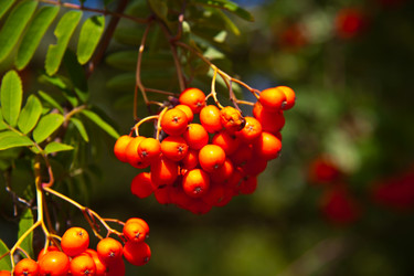 Similar image 21817319