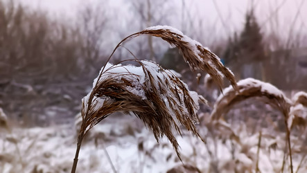 Similar image 21817453