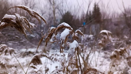 Similar image 21817454