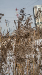 Similar image 21817455