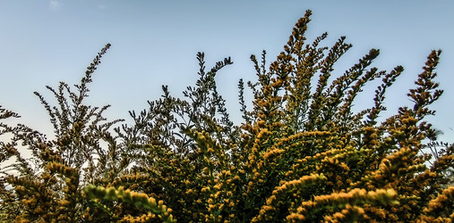 Similar image 21817456