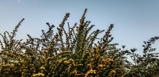 Similar image 21817457