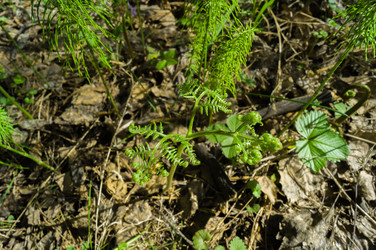 Similar image 21824037