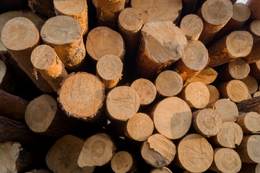 Similar image 21824038