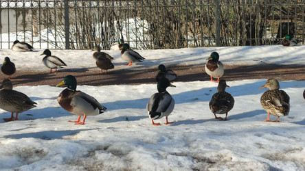 Similar image 21823294