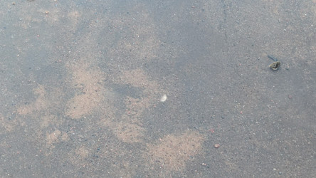 Similar image 21823295