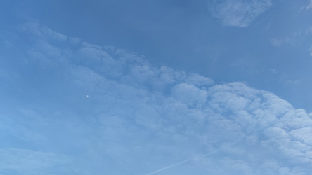 Similar image 21823297