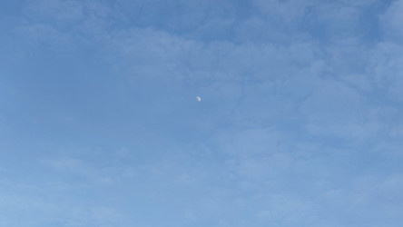 Similar image 21823301