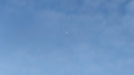 Similar image 21823303