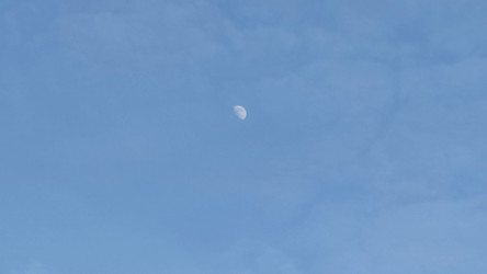 Similar image 21823304